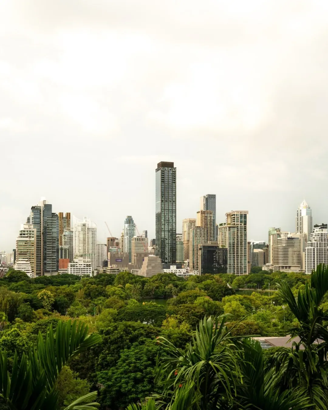 曼谷Dusit Central Park综合体：一座世界级都市绿洲 - 图片 5