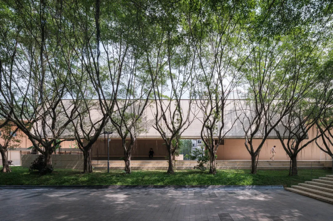 直向×阿那亚广州艺术中心：留25棵老榕树做花园美术馆 - 图片 7