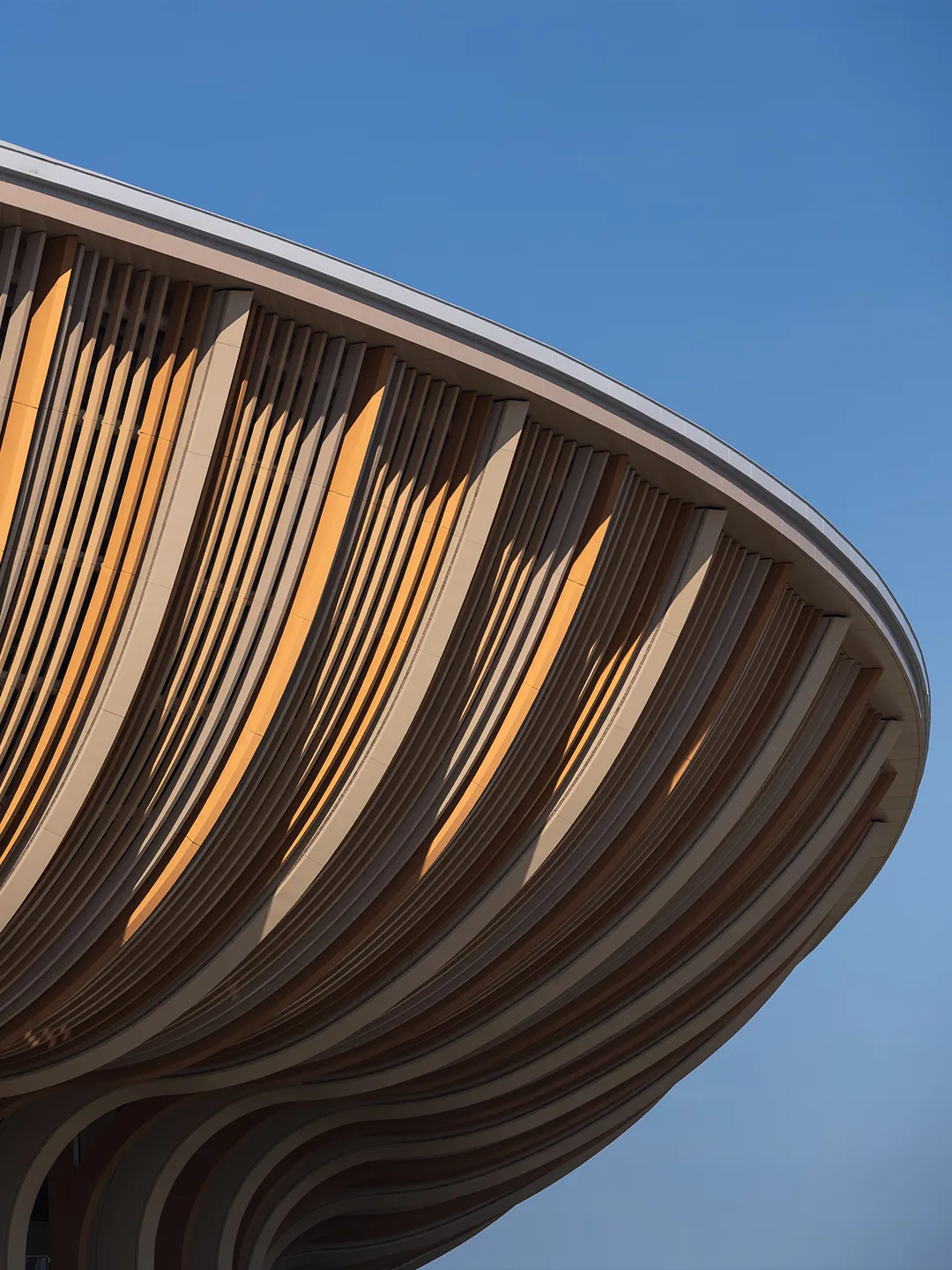 扎哈设计的南沙大湾区体育中心设计太绝了2025开 - 图片 6