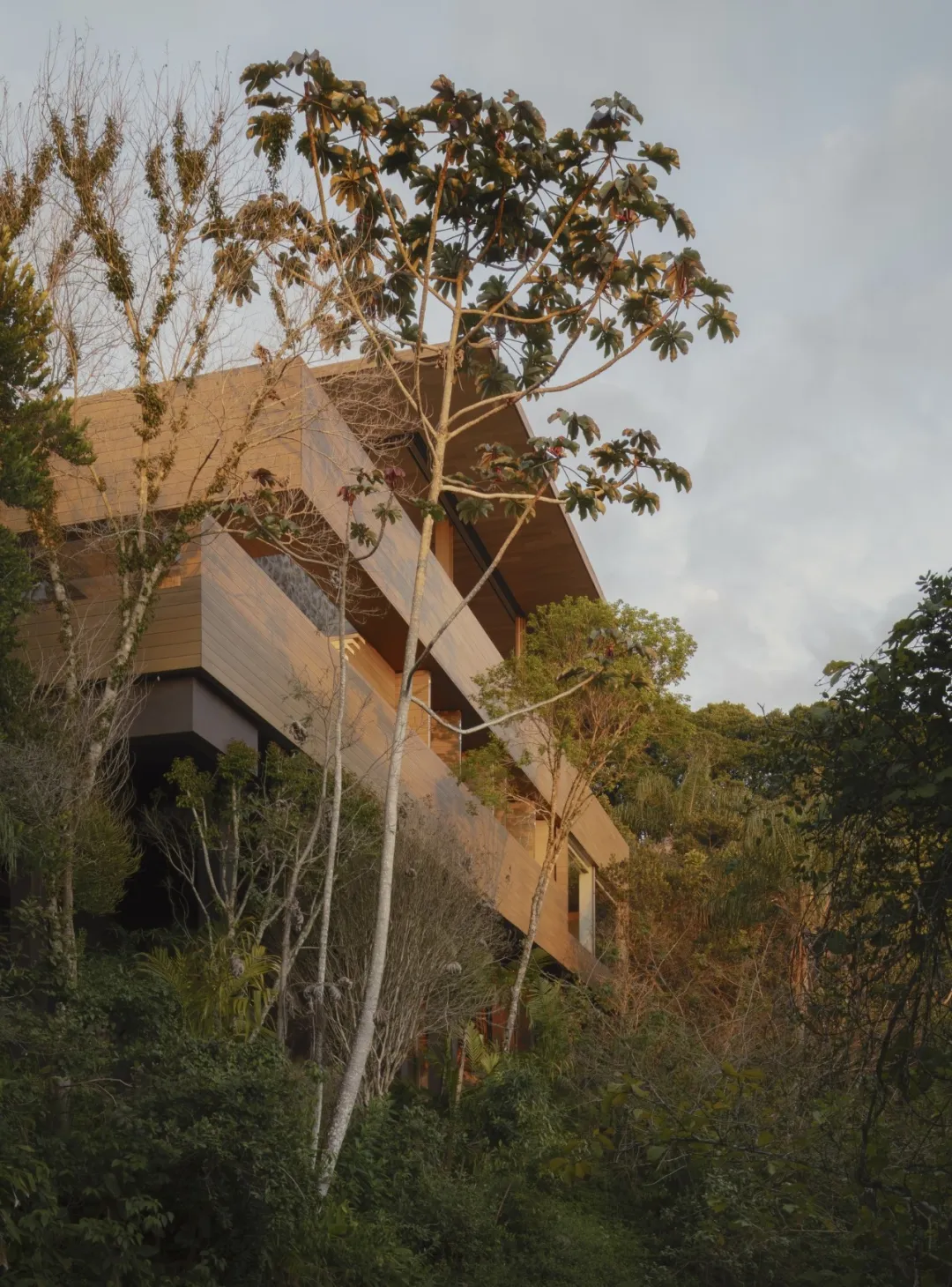 Arthur Casas的三招：让居住空间自然舒适又诗意 - 图片 9