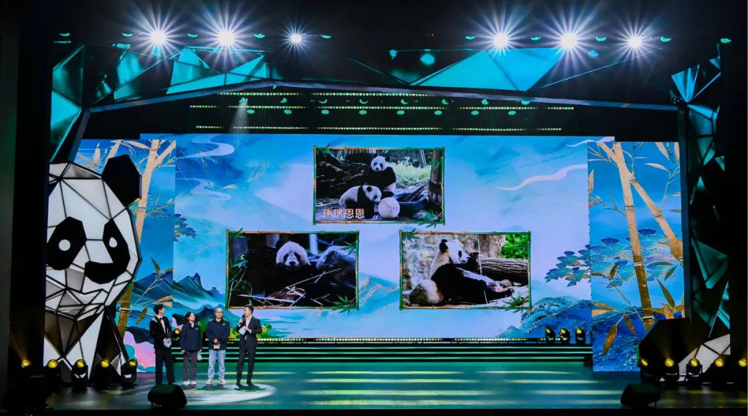 打破熊猫固有形象！蒙牛瑞哺恩IP设计案例藏守护密码 - 图片 6