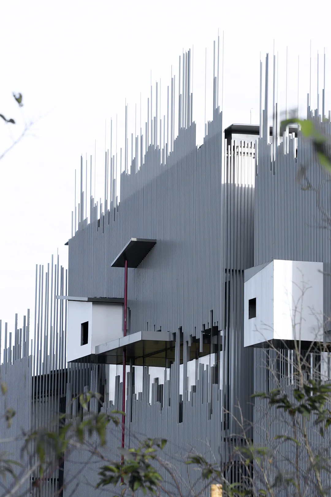 明溪鸟文化交流中心“屏风山水+鸟巢”鸟类友好设计案例 - 图片 6