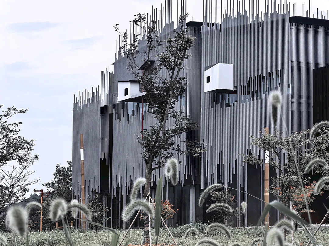 明溪鸟文化交流中心“屏风山水+鸟巢”鸟类友好设计案例 - 图片 9