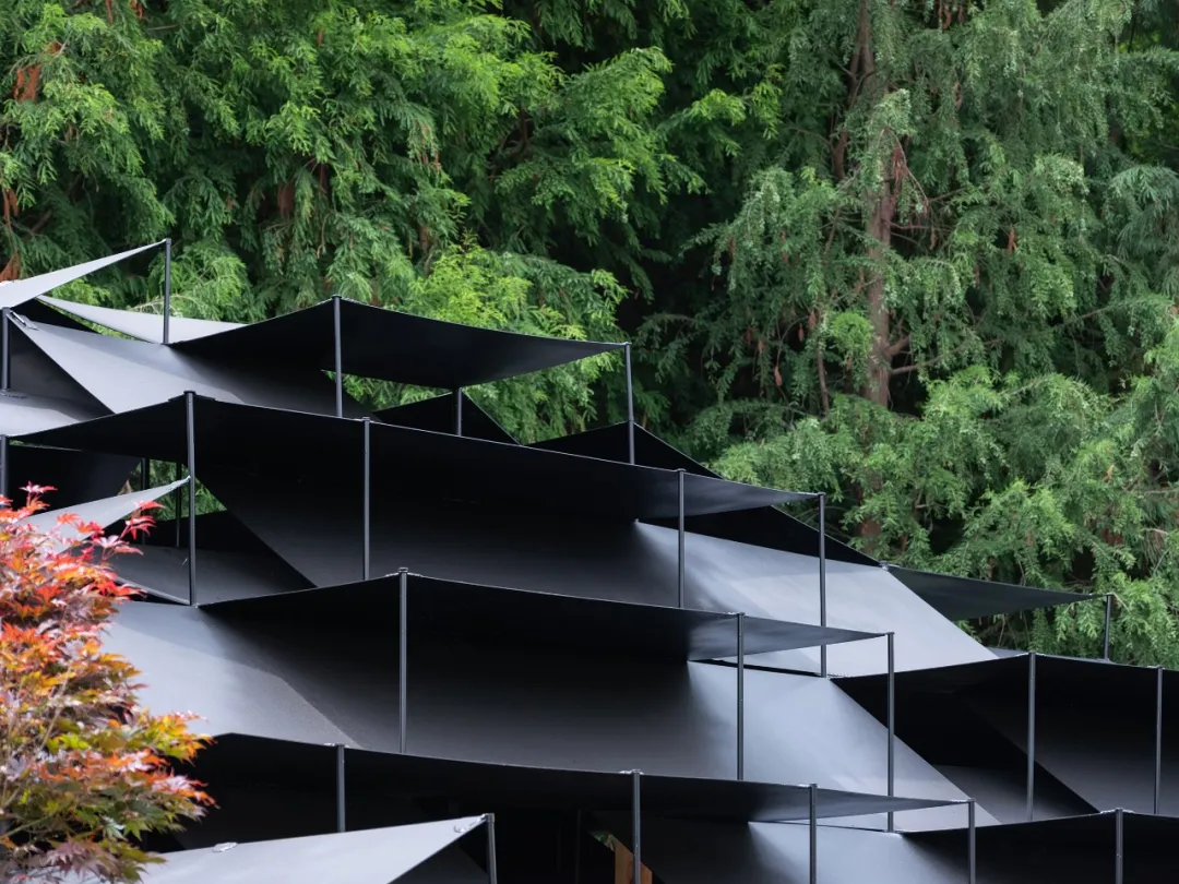 大舍为昆明滇池设计的捞鱼亭，轻量化融自然与传统亭魂 - 图片 8