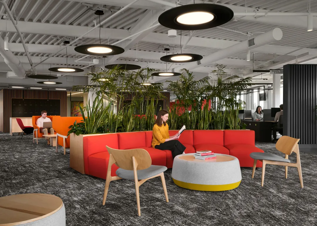 加州慈善机构总部办公空间火了：Bohlin设计的灵活健康款 - 图片 5