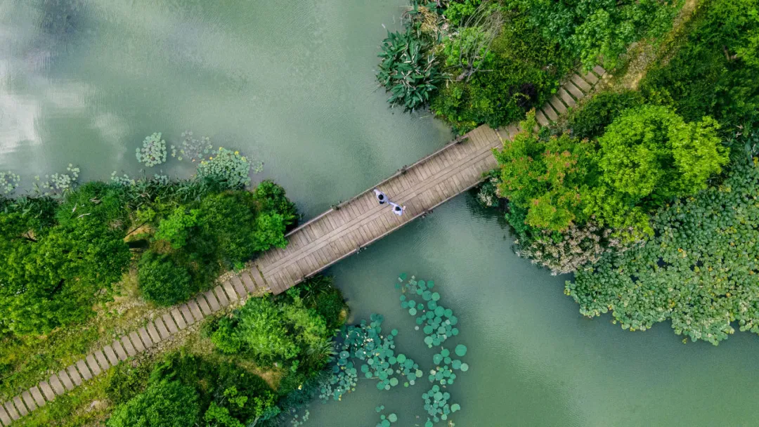 Club Med破“度假必远游”：双场景+四大圈层造日常法式度假 - 图片 7