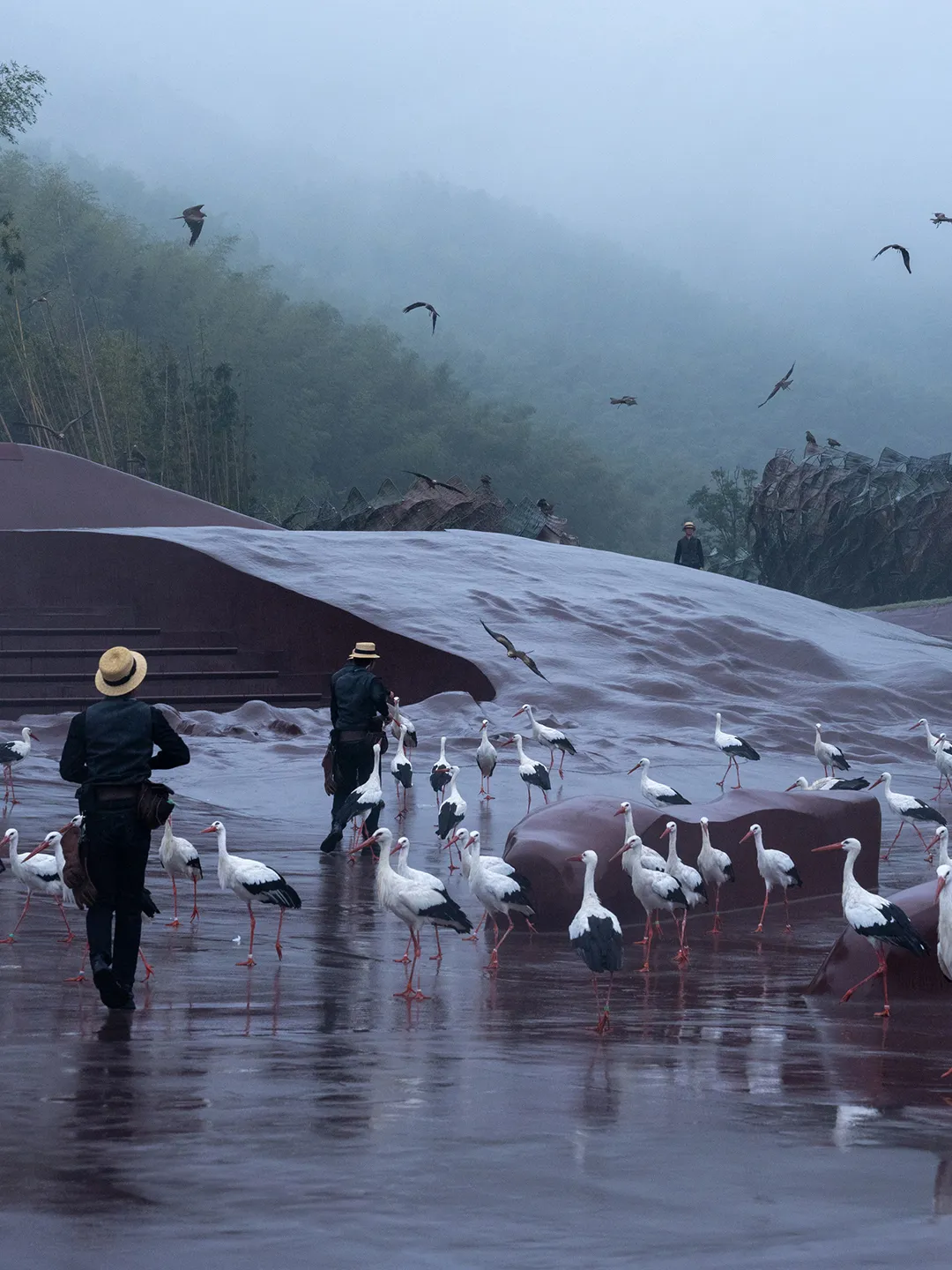 goa大象设计造宜兴飞鸟剧场 人和鸟一起沉浸式观演 - 图片 5