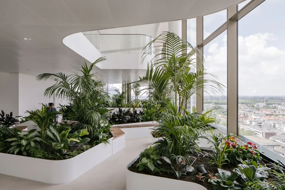 藏两层亚热带公园的办公塔楼成绿色办公新标杆 - 图片 6