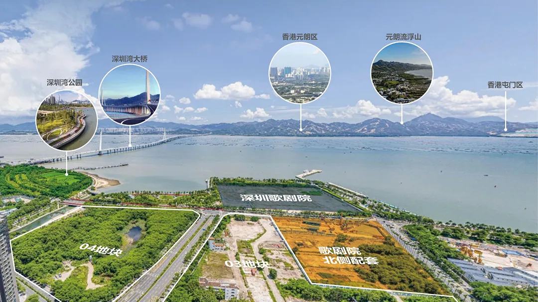 深圳中信信悦湾顶级豪宅设计案例成室内设计参考范本 - 图片 5