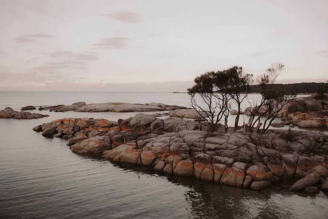 塔斯马尼亚SABI民宿侘寂设计打造感官静修所 - 图片 5