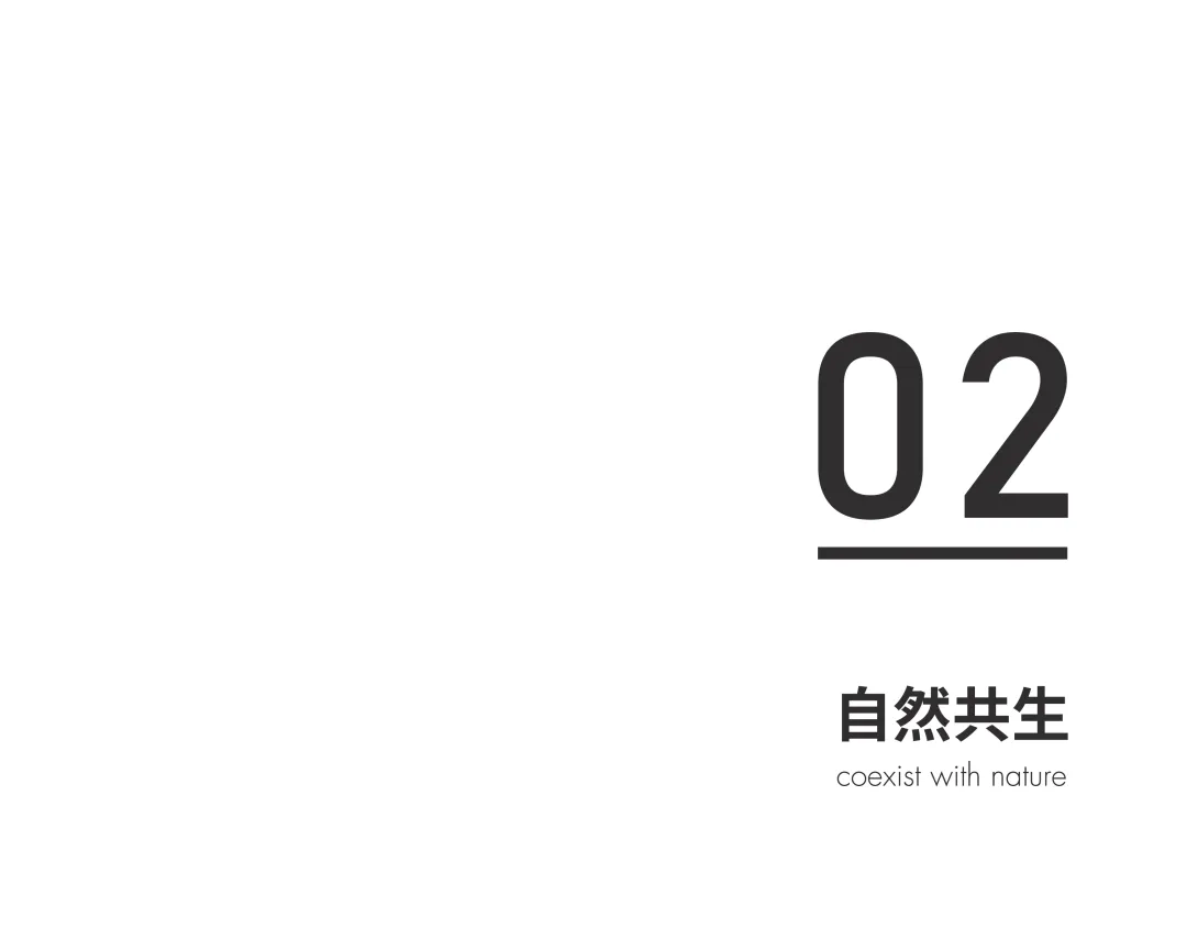 克制又丰盈！弥生空间办公室设计以“生”造温度 - 图片 9