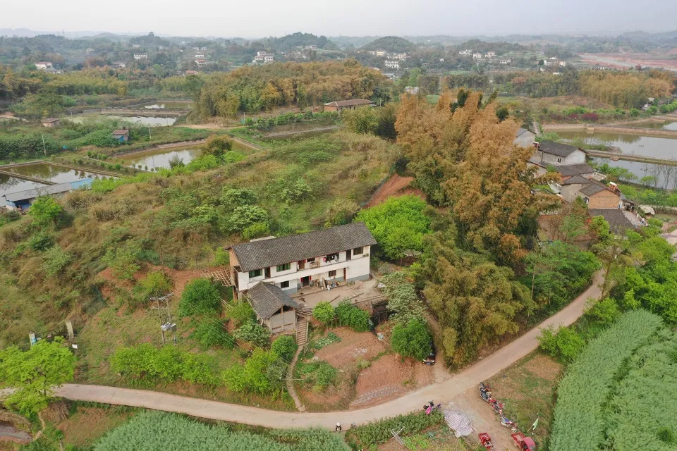 宜宾安石乡村书局改造用“大树”结构造景观阅读空间 - 图片 5