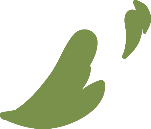 Hiii插画奖全场大奖西朴25年直播讲插画转动画创作 - 图片 5