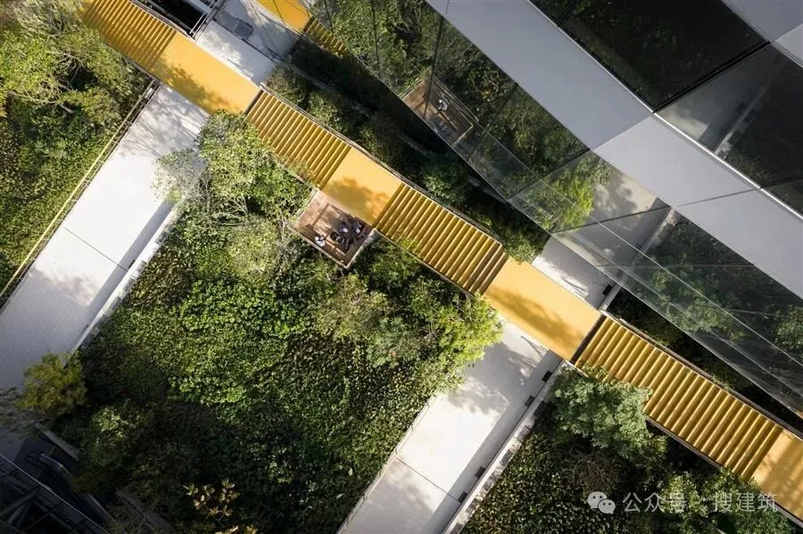 曼谷Cloud 11项目以景观为核心做气候适应型设计 - 图片 9