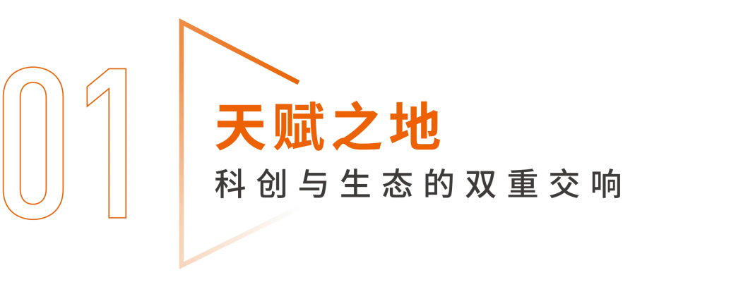 图片 3