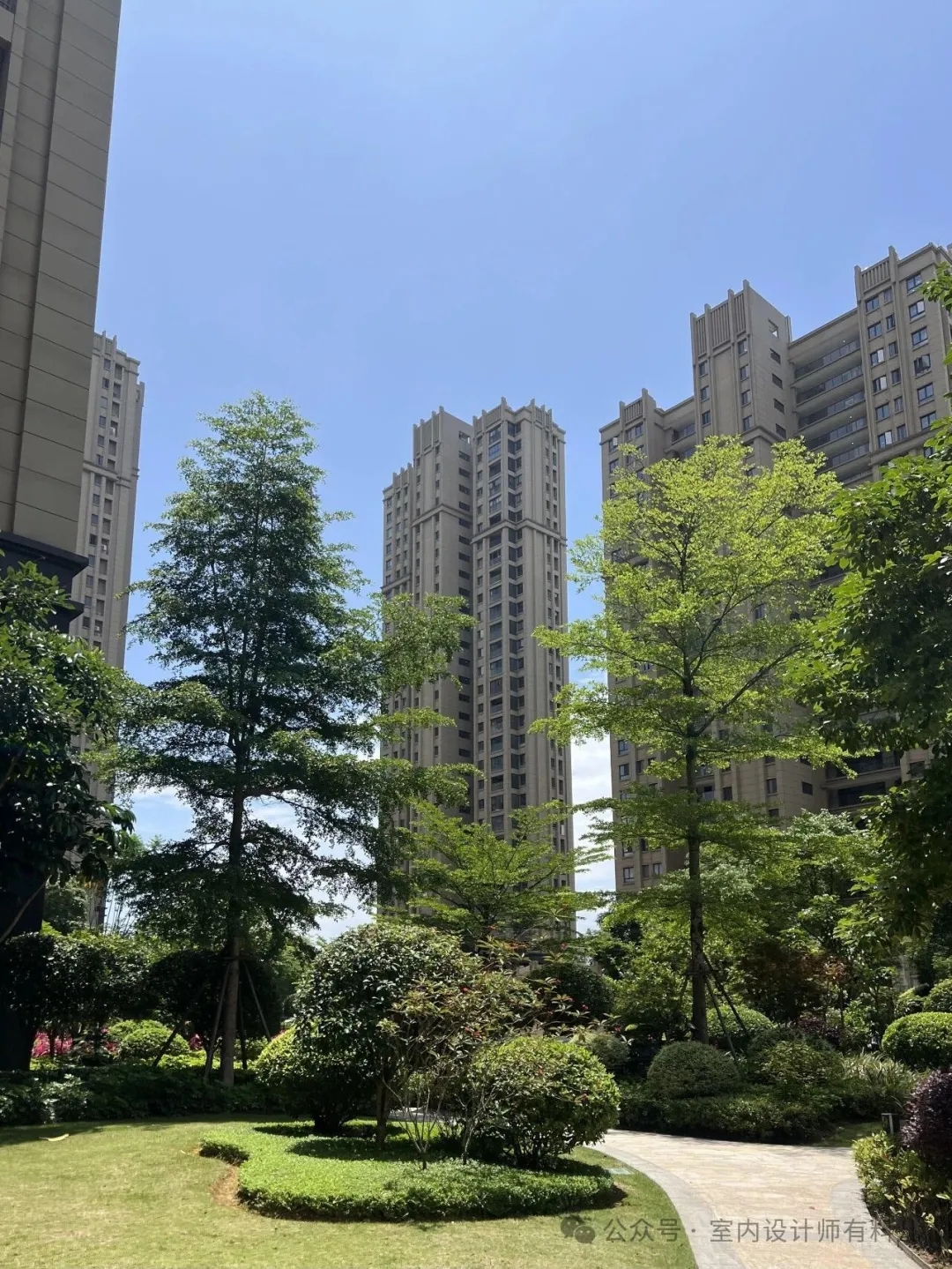主要图片