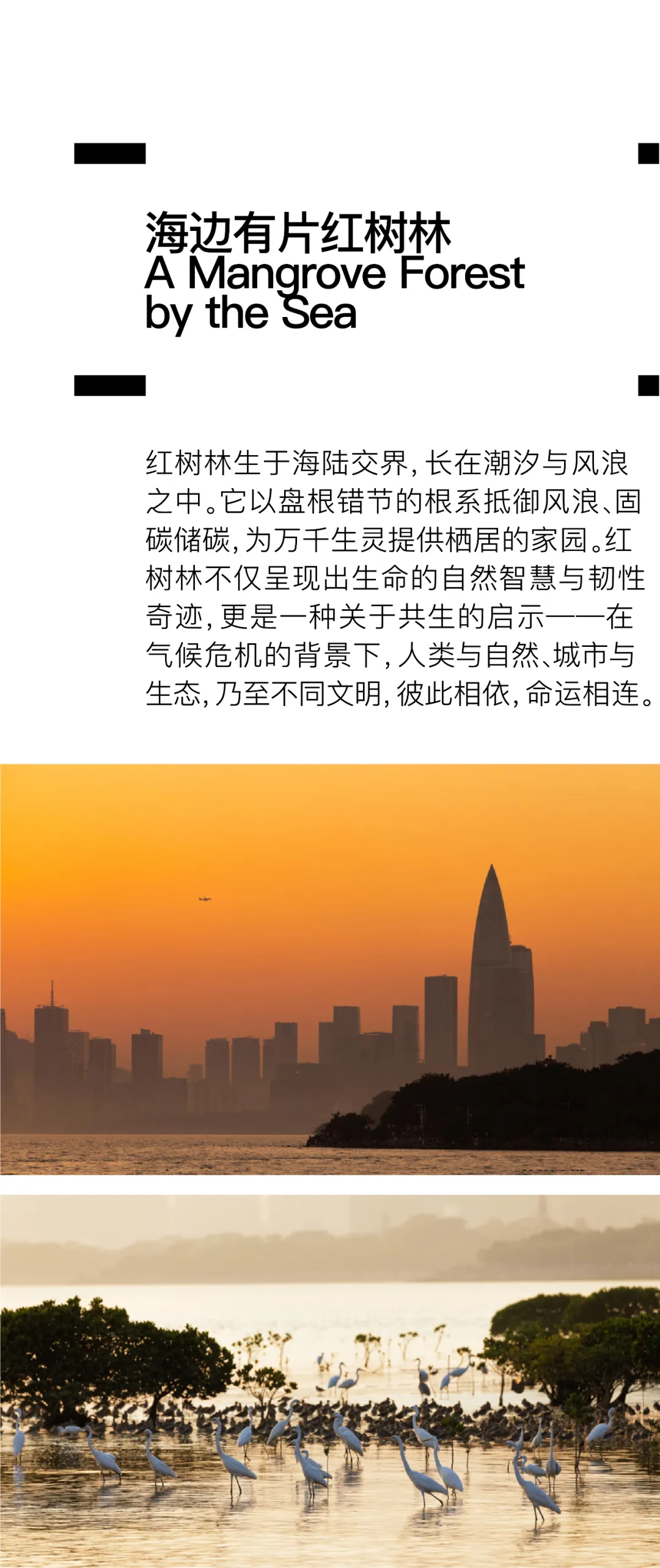 图片 3