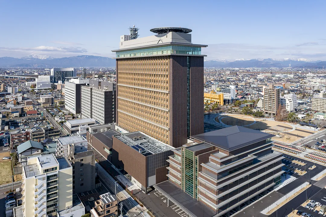 缩略图 4