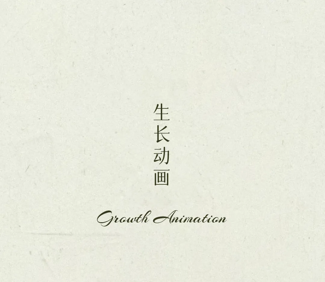 图片 4