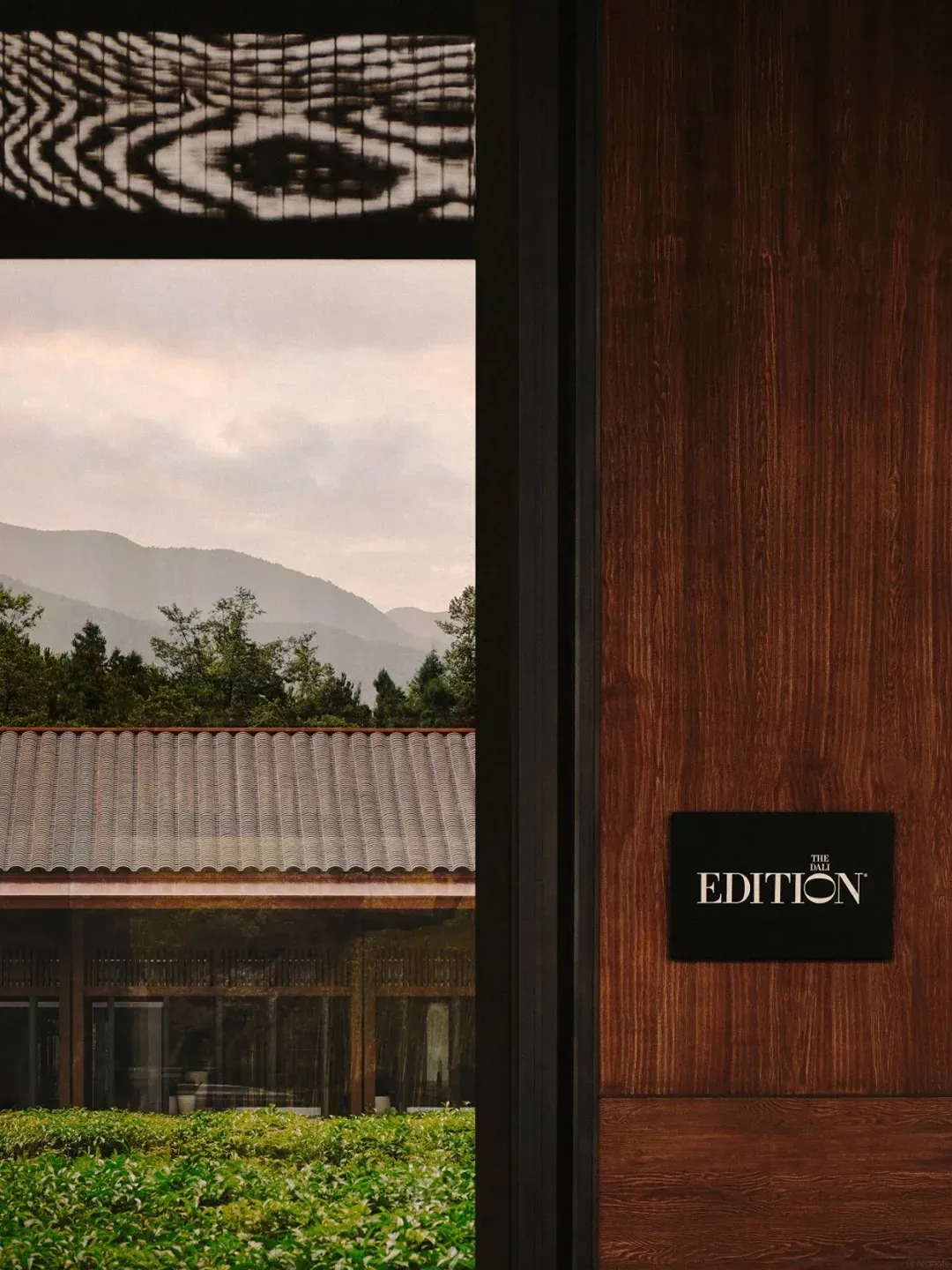 缩略图 4